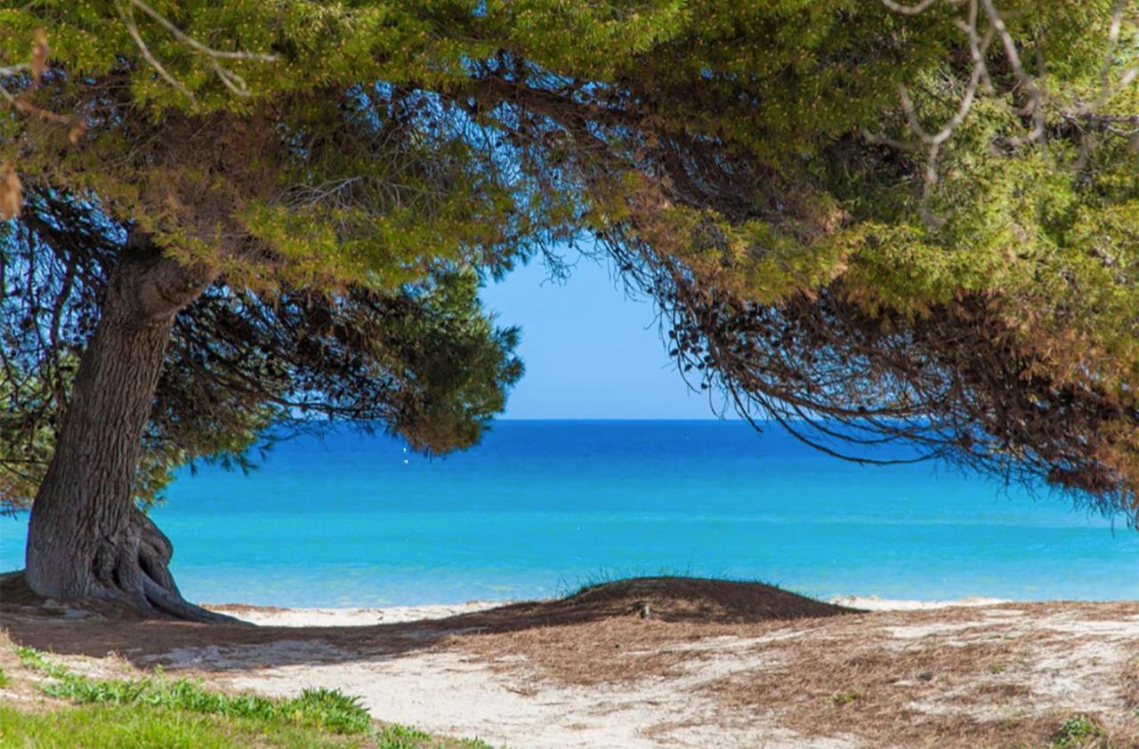 Apartment Countess Garden 3-1, Sun Of The Bay 1, At Alcudia Beach Dış mekan fotoğraf